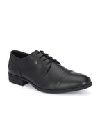 Franco Leone Lace-up Men